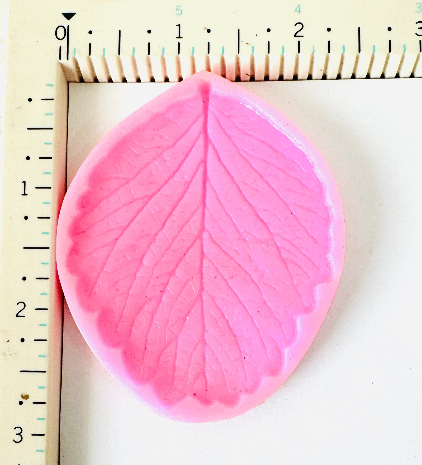 Classic Leaf Texture Silicone Mould (Large)